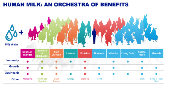 The Impact Of Early Life Nutrition On Immunity Through Gut Danone