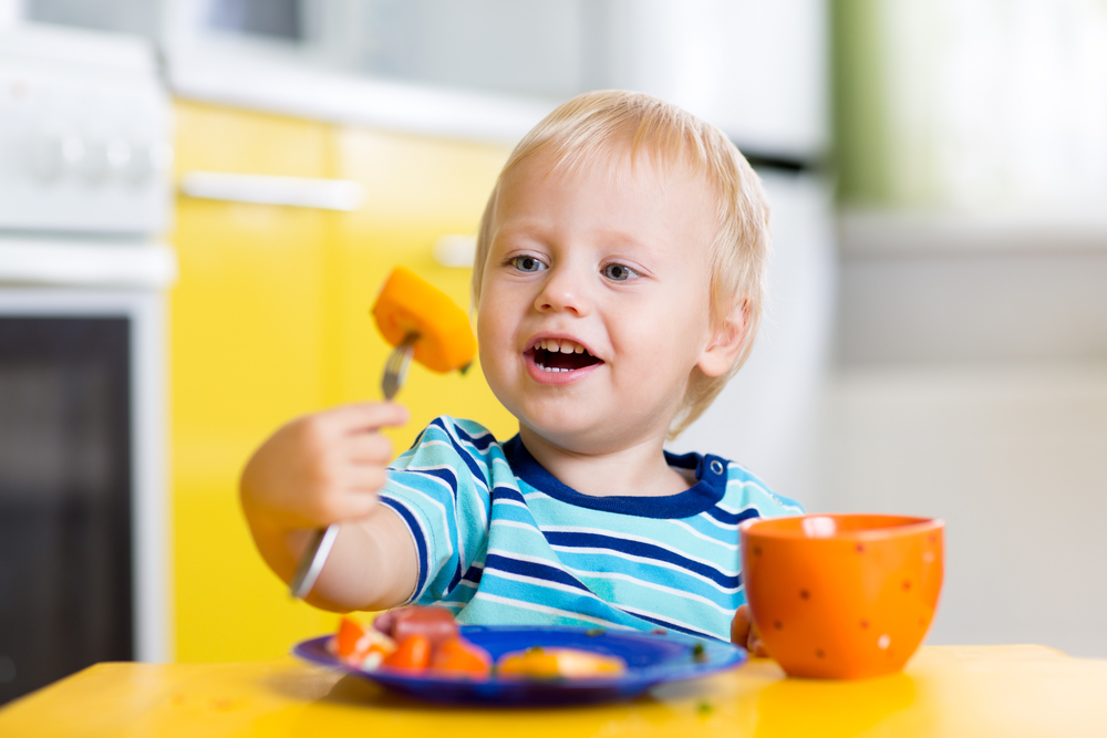 The importance of healthy eating habits in early life: new publications ...